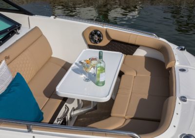 Sea Ray SDX 250 Inboard salon