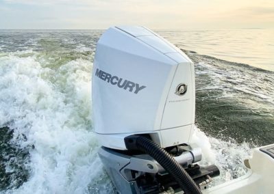 Sea Ray Sun Sport 230 Hors Bord moteur Mercury
